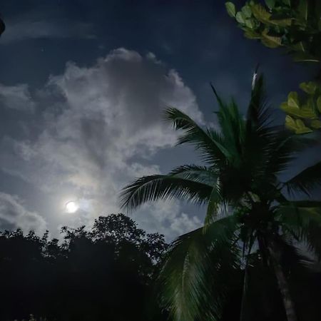 Quinta 24 De Junio Villa Guacimo  ภายนอก รูปภาพ