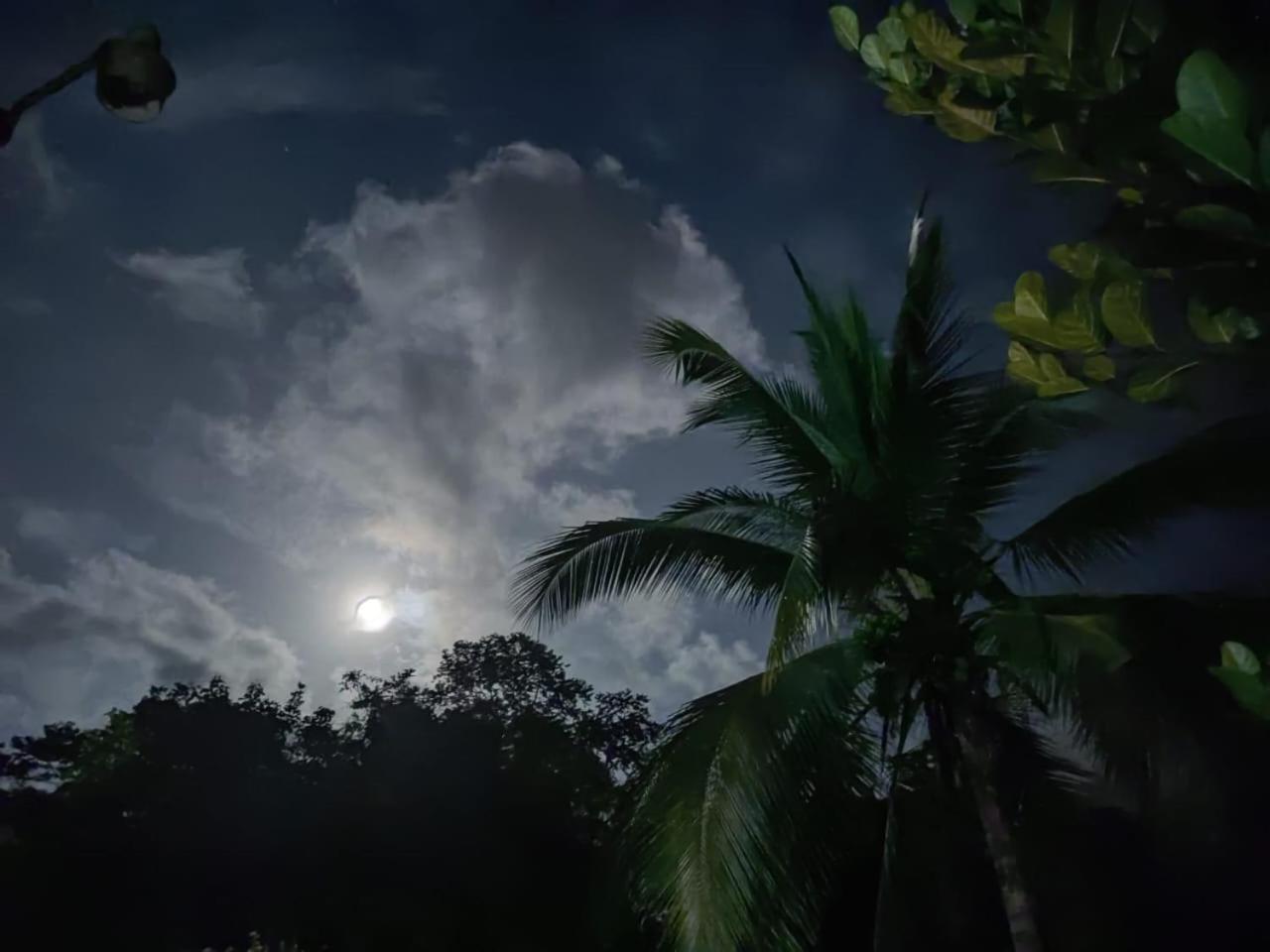 Quinta 24 De Junio Villa Guacimo  ภายนอก รูปภาพ