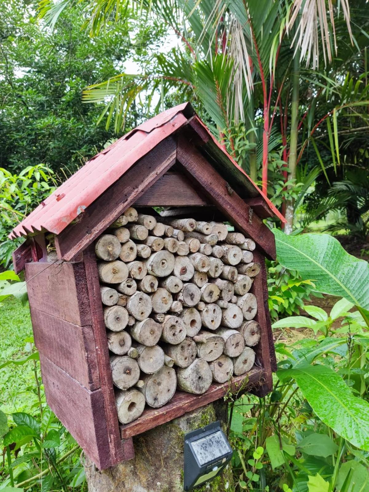Quinta 24 De Junio Villa Guacimo  ภายนอก รูปภาพ