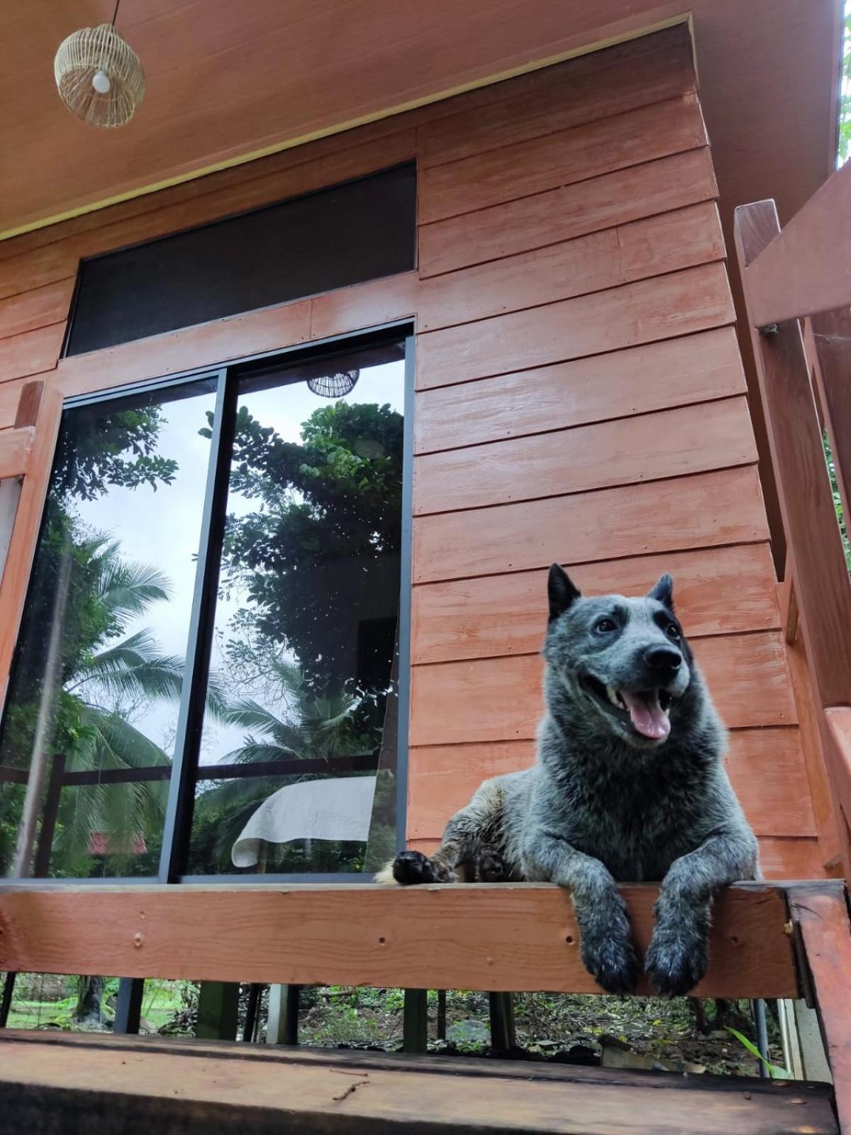 Quinta 24 De Junio Villa Guacimo  ภายนอก รูปภาพ